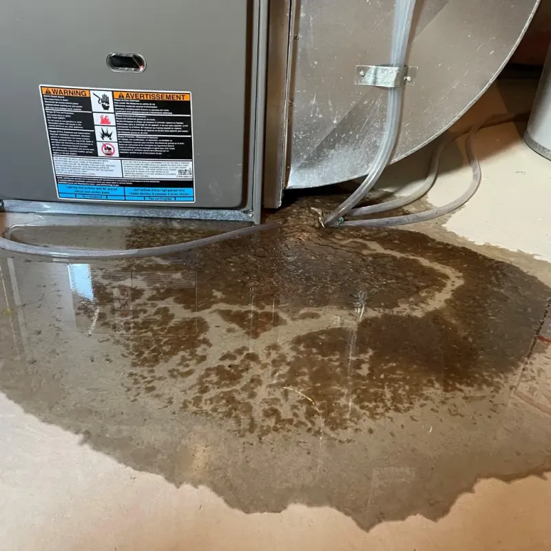 Appliance Leak Cleanup in Winton, NC